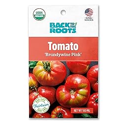 Back to the Roots 100% Organic Seed Packet - Tomato