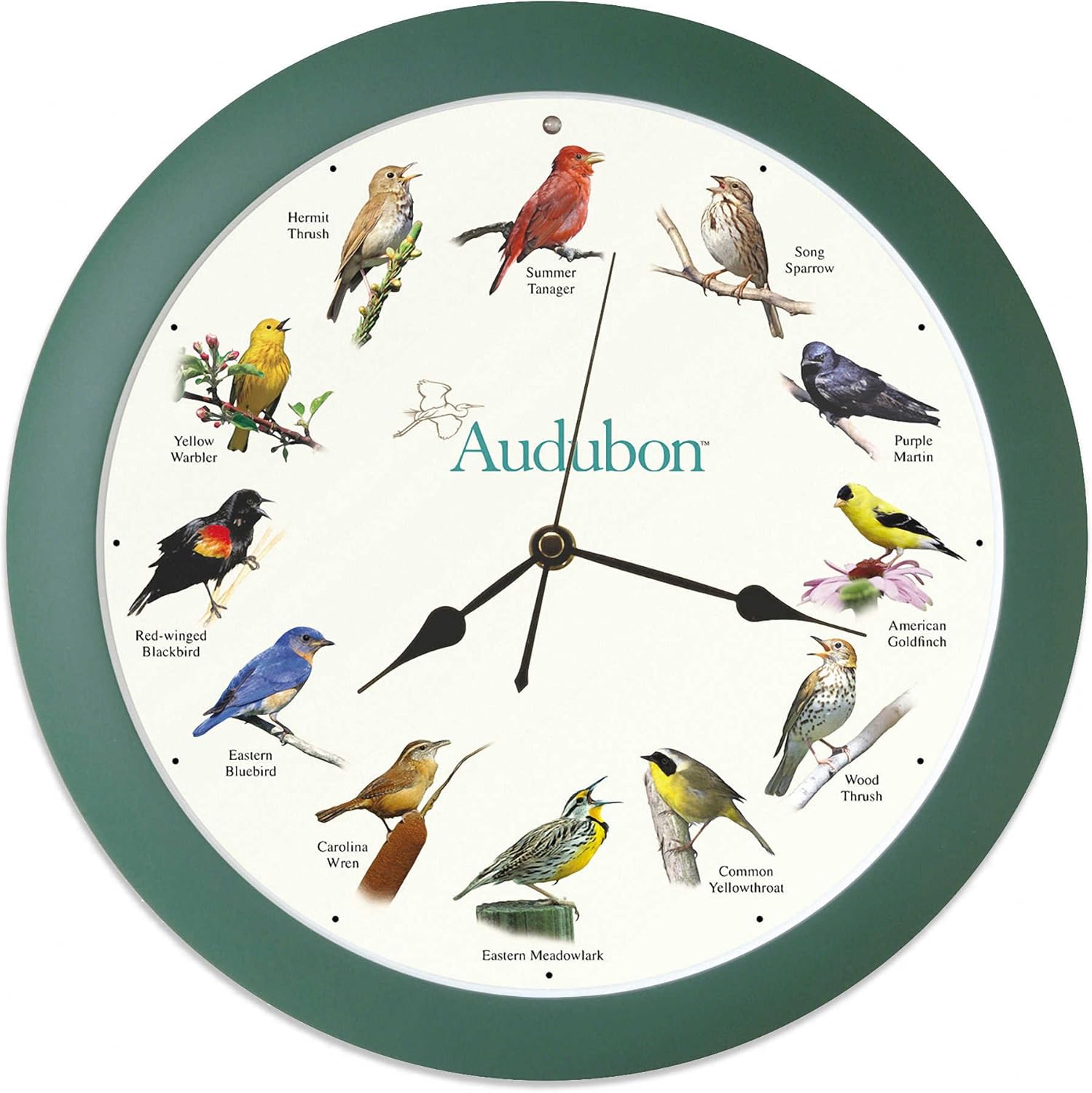 Mark Feldstein & Associates Audubon Singing Bird Clock, 13" Amazon.co