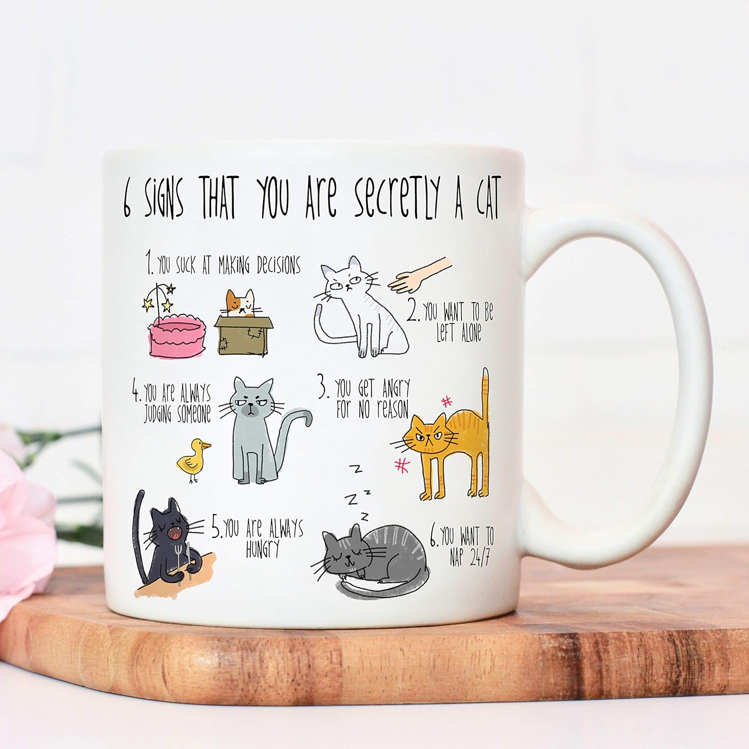 Six Signs You are Secretly a cat Mug cat Mug for cat Lovers cat Mugs for Women Amazon.co.uk
