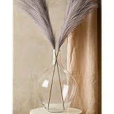 Large Glass Vase for Floor, 15" Tall Clear Glass Floor Vase for Pampas Grass and Long Stem Flowers, Big Glass Vase Decor for Living Room Bedroom, Clear Vase