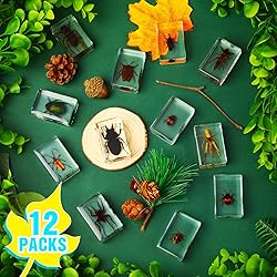 12 Pcs Insect in Resin Specimen Bugs Collection