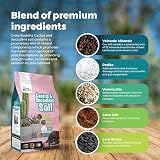 Grow Buddha Cactus Succulent Soil Mix 2L Indoor Potting Compost view 2
