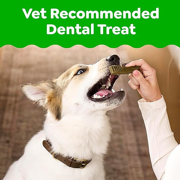 GREENIES DOG TREATS VETERINARIAN-RECOMMENDED NATURAL DENTAL TREATS FOR DOGS, TEENIE SIZE, SWEET POTATO FLAVOR, 36 OZ. PACK, 130 COUNT
