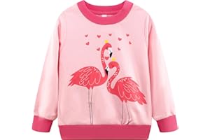 NUBEEHOHO Toddler St. Patrick's Day Sweatshirt Clover Shamrock Long Sleeve Irish Green Shirts Tops for Kids (8455-8T)