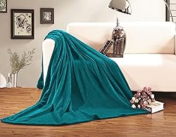 Elegant Comfort Luxury Velvety Softness Fuzzy Plush