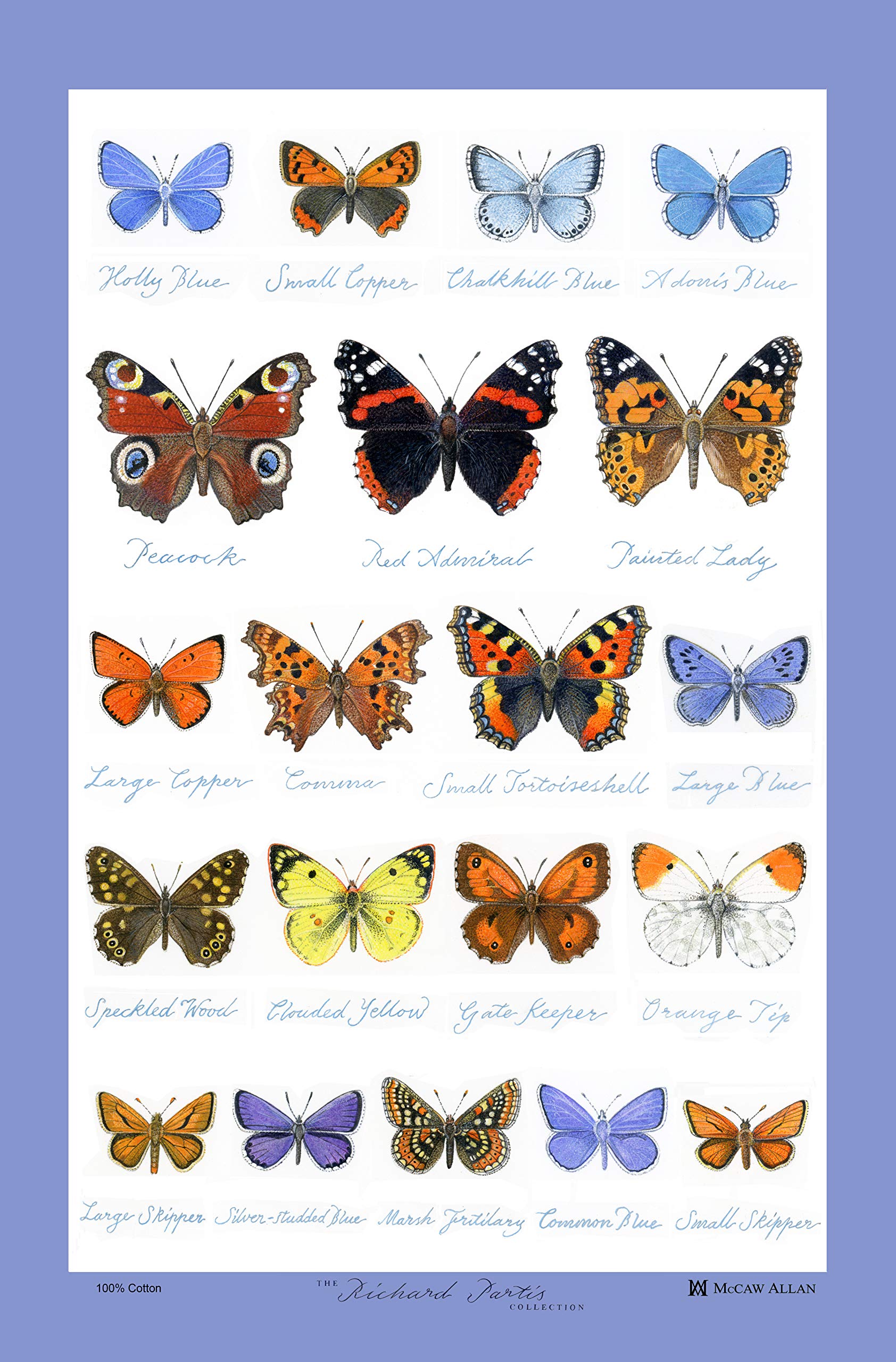 Samuel Lamont Glencoe Butterflies Cotton Tea Towel