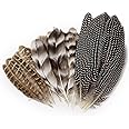 30 Pcs Natural Pheasant Feathers for DIY Craft 15-22cm Assorted Wild Turkey Feather Guinea Fowl Wing Quill Wedding Home Party