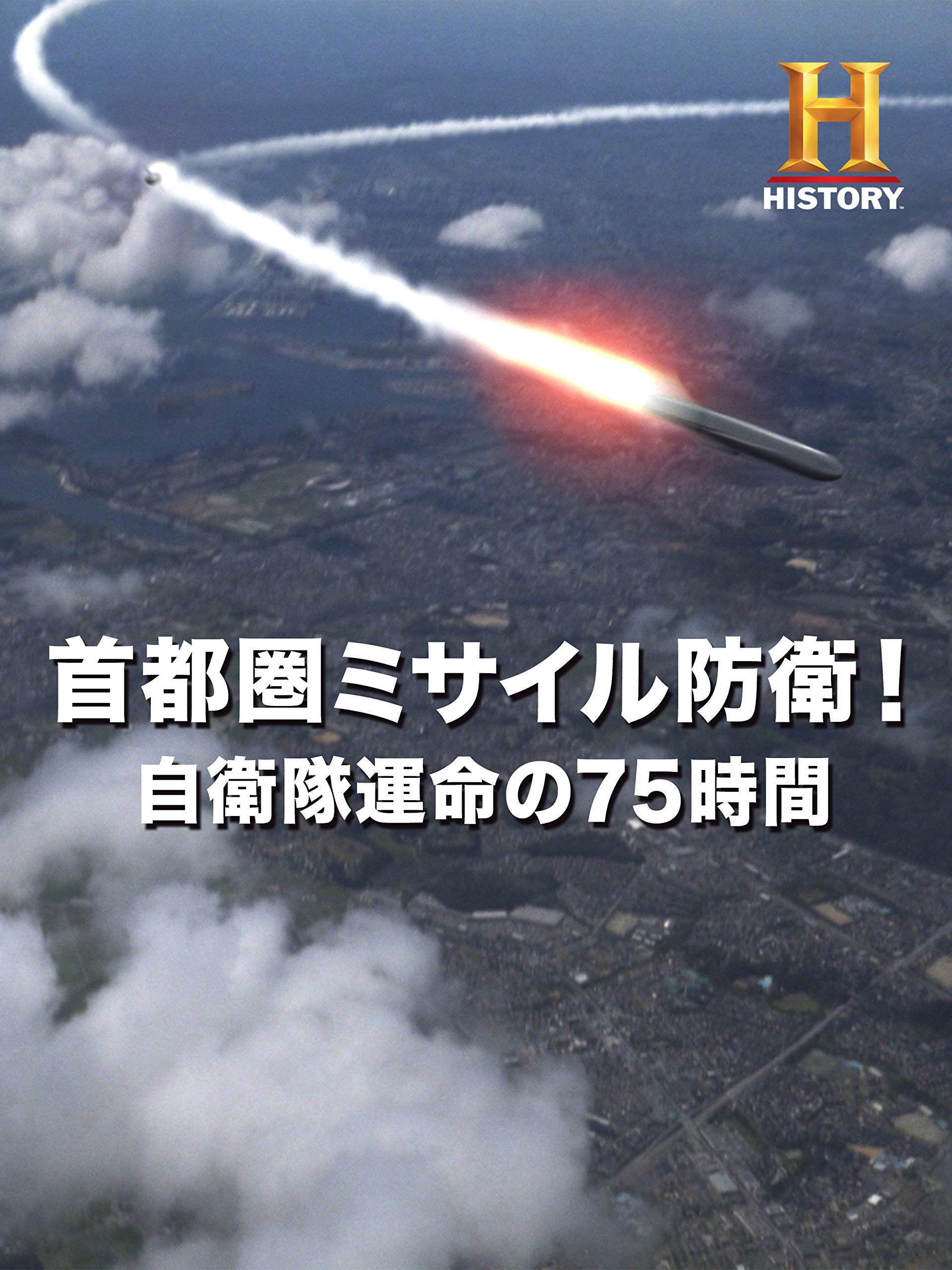 Amazon Co Jp 首都圏ミサイル防衛 自衛隊運命の75時間 芦川 淳 依田 浩一 國井 正人 大屋 光子 Prime Video