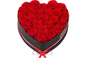 POMINEL Valentines Day Gift for Her Red 24Pcs Eternal Preserved Roses Flowers in Heart Shape Box Mothers Day Anniversary Birthday Gifts for Mom Women