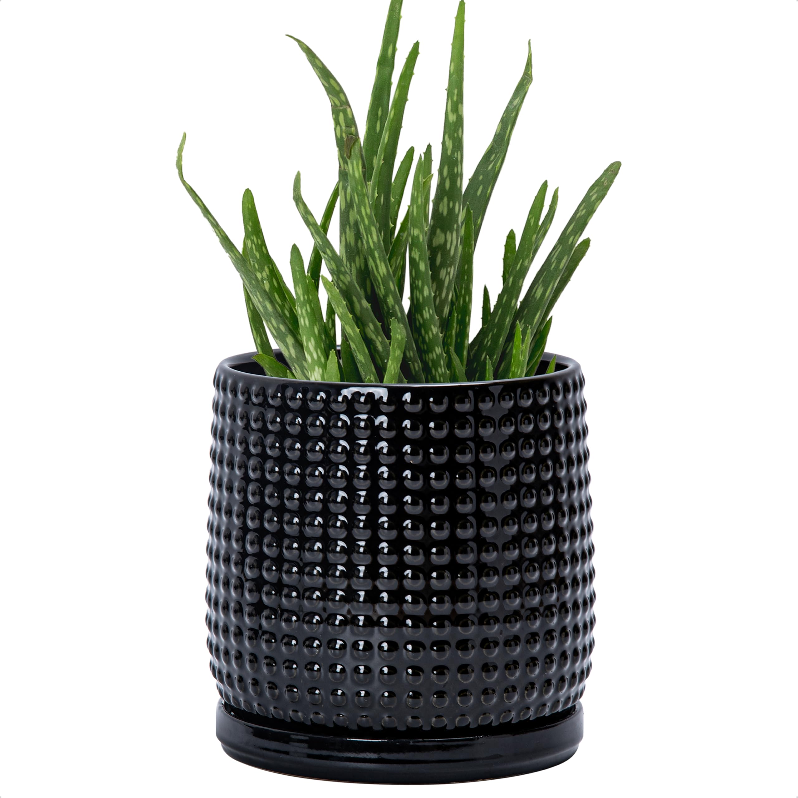 Photo 1 of D'vine Dev 6 Inch Ceramic Beaded Stoneware Planter Pot - Flower Pot with Drainage Holes and Saucers for Indoor Succulent Plants or Flowers, Glossy Black, 27-C-X-2