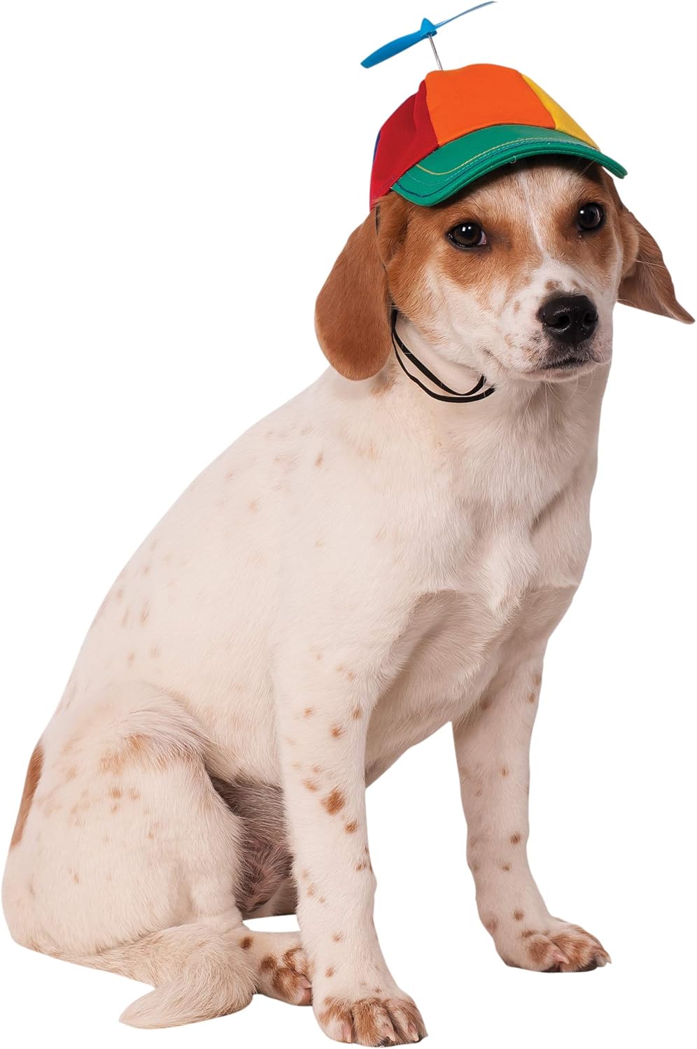 Rubies Costume Co Propeller Hat for Pets, Small/Medium Amazon.ca Pet