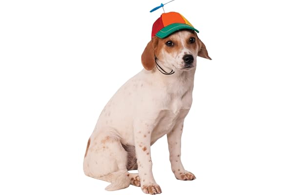 Amazon Best Sellers: Best Dog Hats