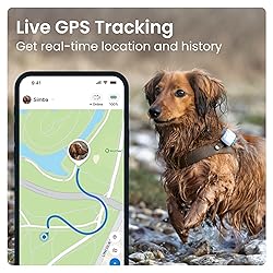 Tractive GPS Pet Tracker for Dogs - Waterproof, GPS