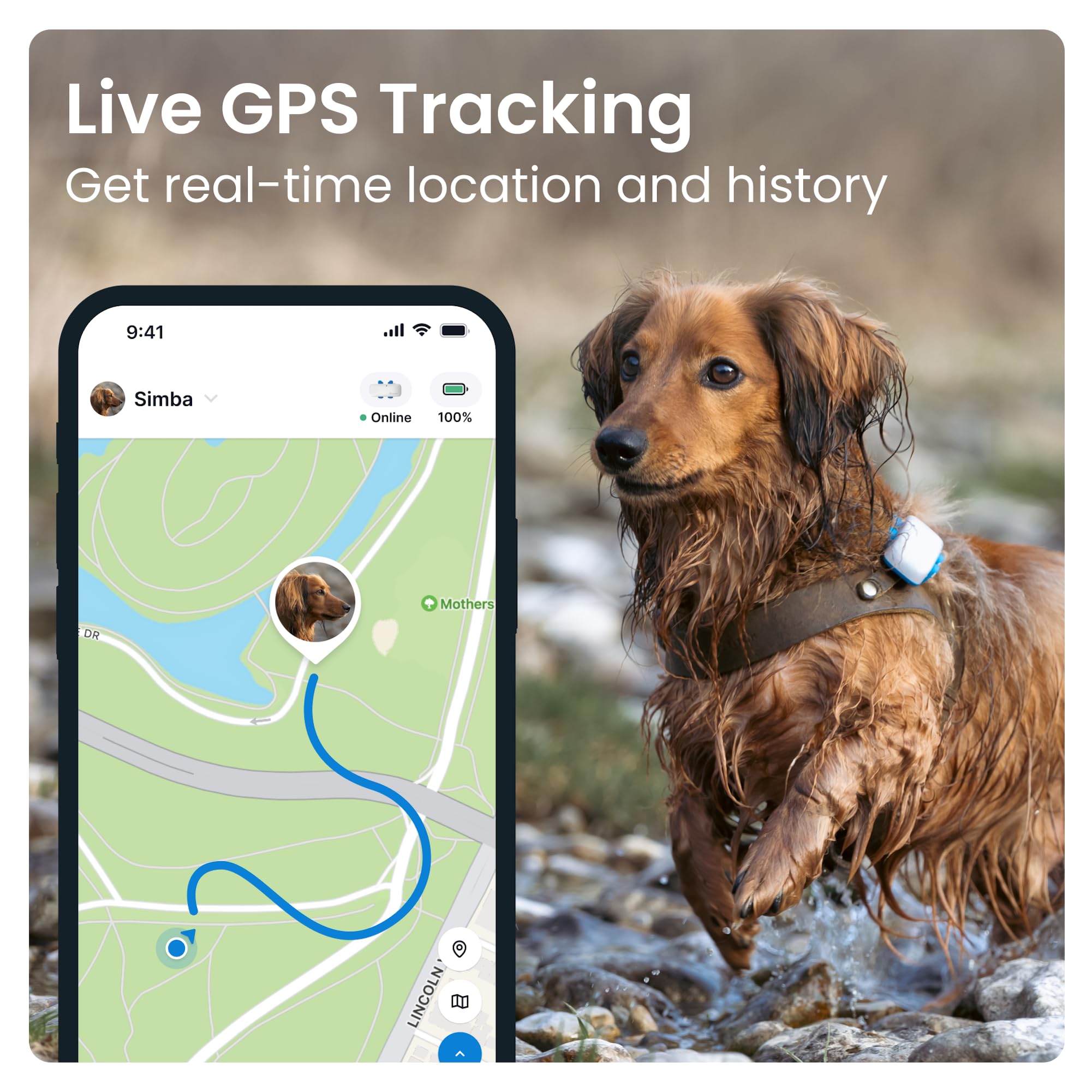 Tractive GPS Pet Tracker