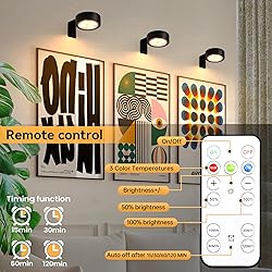 KELUOLY 4-Pack Picture Light Battery Operated with