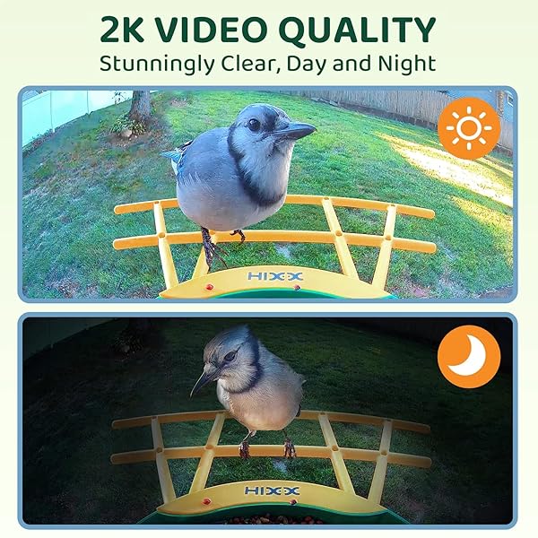 HIXX SMART BIRD FEEDER WITH CAMERA, AI IDENTIFY BIRDS & AUTO CAPTURE, 2K HD LIVE CAMERA BIRDWATCHING WITH COLOR NIGHT VISION FOR BIRD LOVERS GIFTS (GREEN)