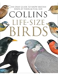 Collins Life-Size Birds: The Only Guide to Show British Birds at their Actual Size