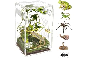 OREKEMO Acrylic Jumping Spider Habitat, Reptile Terrarium Easy Assembly, Bug Enclosure, Praying Mantis Habitat, Frog Enclosure, 9.8 * 5.9 * 5.9in