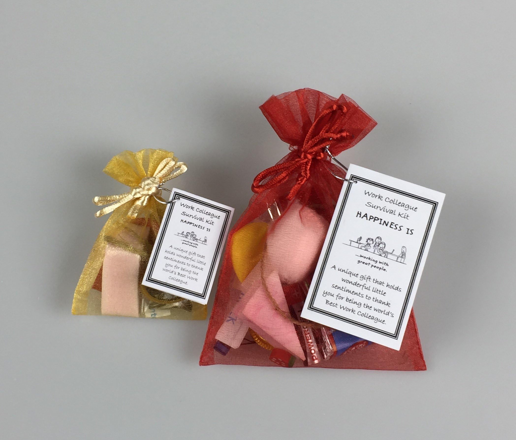 Work Colleague Survival Kit Novelty Keepsake Gift with Personalised Option (Mini Survival Kit (Non-Personalised))