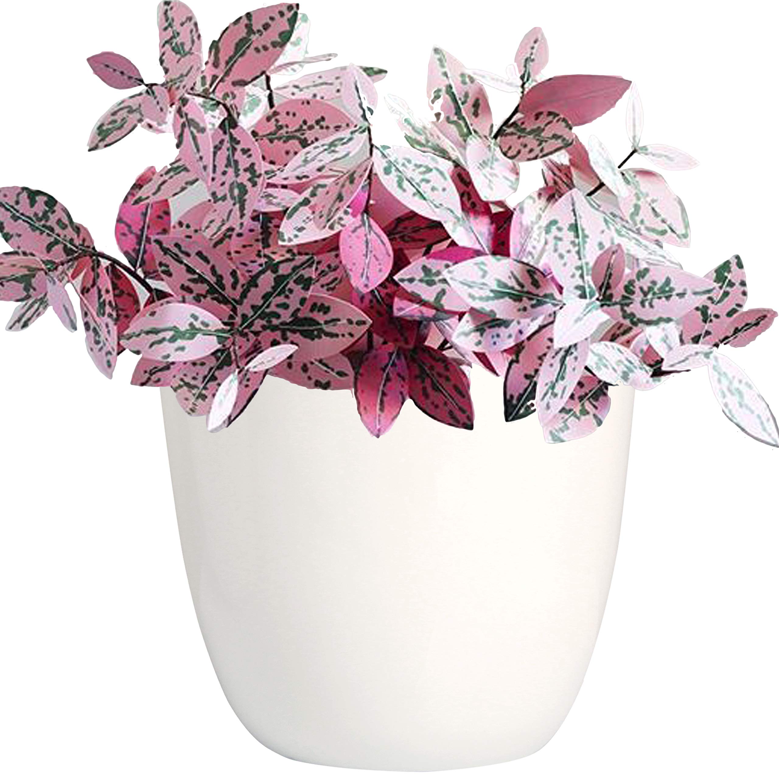 Youngever 6 Pack 20CM Plastic Planters Indoor Flower Plant Pots, Modern Decorative Gardening Pot with Drainage for All House Plants, Flowers, Herbs (Modern)