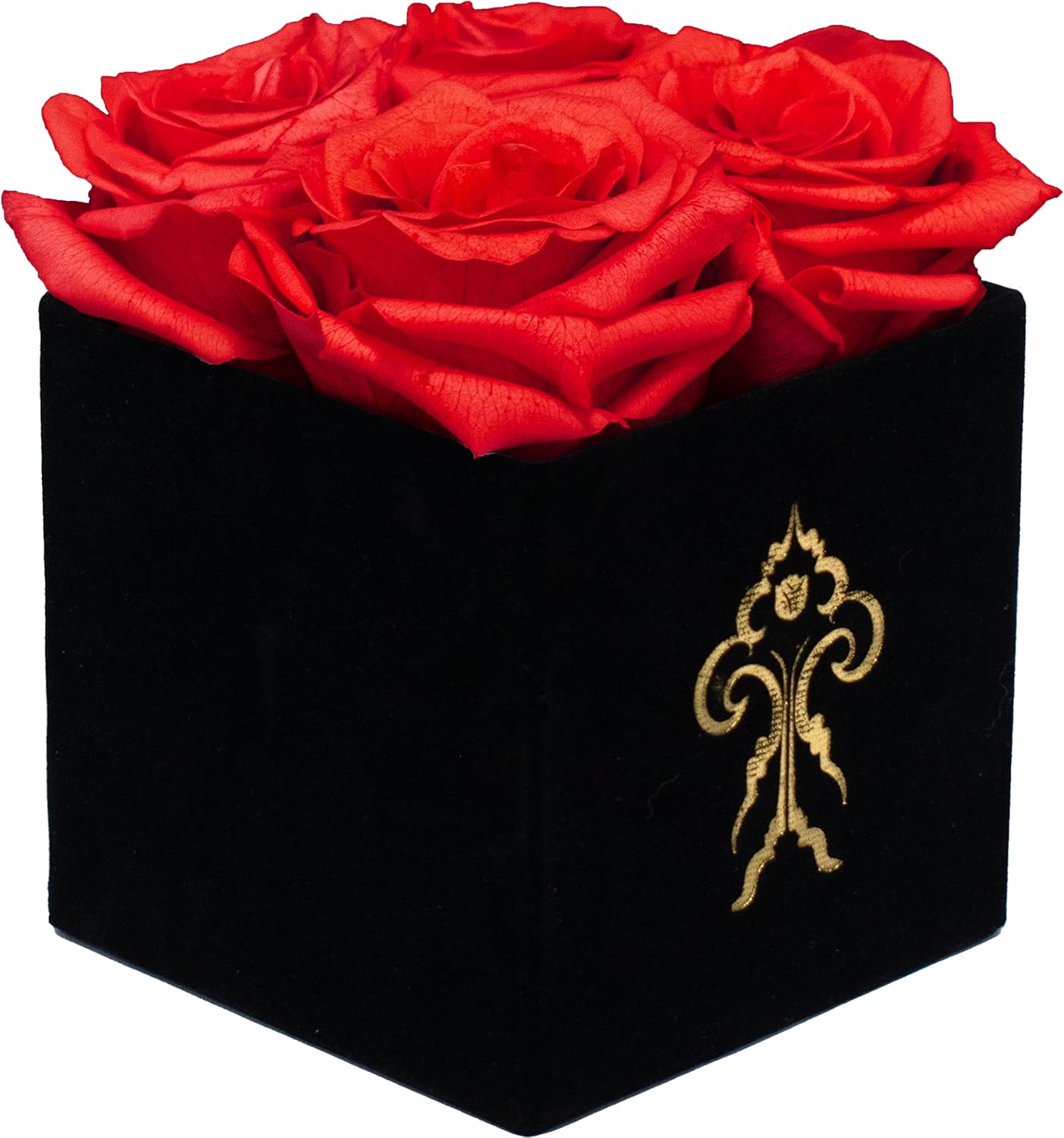 Dried & Preserved Flora - Premium Roses | Jolie Black Box Red Roses | Real Roses That Last 365 Days | Preserved Roses, Handmade, Perfect for Valentine's Day, Christmas, Weddings, or Any Occasion (Red)