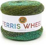 Lion Brand Ferris Wheel Evergreen Yarn 217-603 One Skein 270 yd 100% Acrylic