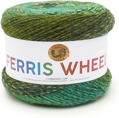 Lion Brand Ferris Wheel Evergreen Yarn 217-603 One Skein 270 yd 100% Acrylic