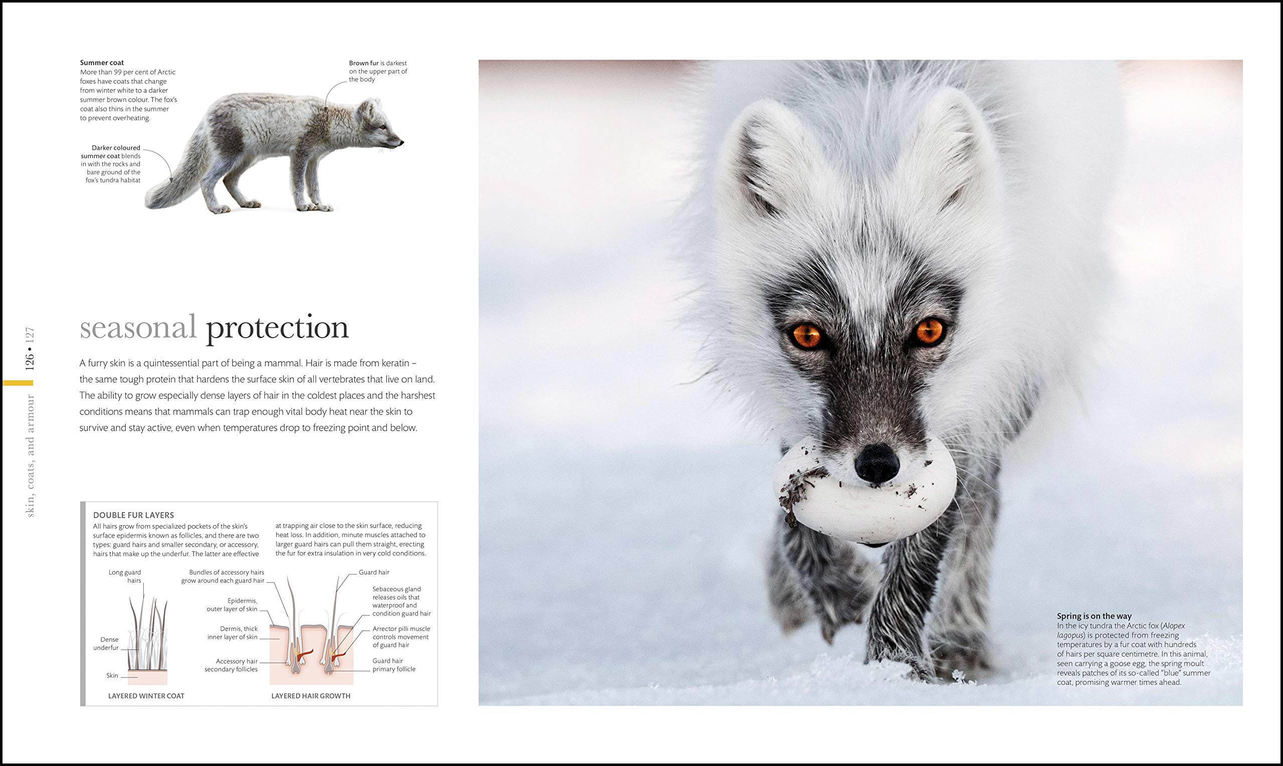 The Science of Animals: From molluscs to mammals