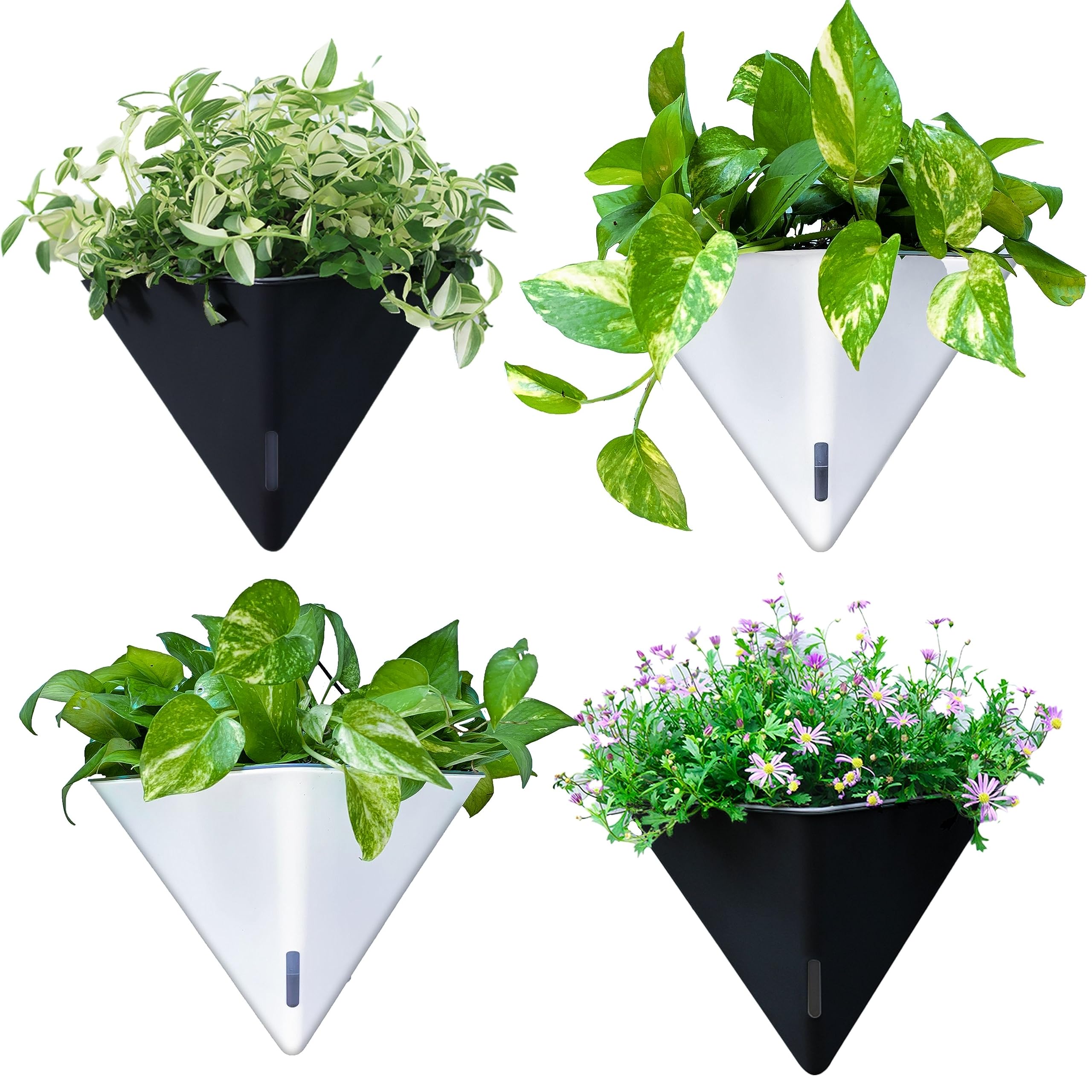 Photo 1 of LaLaGreen Wall Planters for Indoor Plants - 4 Pack, 12 Inch Large Self Watering Black and White Mixed Color Geometric Indoor Vertical Garden Wall Hanging Flower Vase Vessel with Metal Hanger Stylish