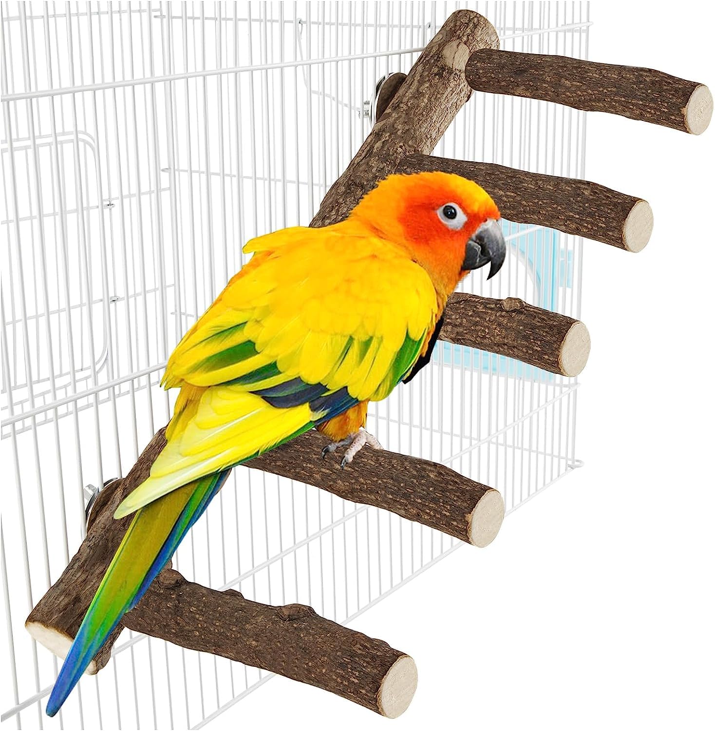 Parrot Wood Stand for Cage, 12.2Inch Length Parrot Perch, Natural Bird Ladder for Small Medium Parrots, Conures, Hamster, Parakeets, Cockatiels