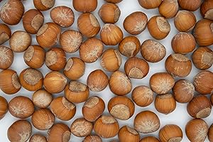 Lila Bazaar - 6LB Resealable Bag - Oregon Hazelnuts in Shell - Raw, Whole, Unsalted, Fresh, Nutty - No Added Flavor, No GMO