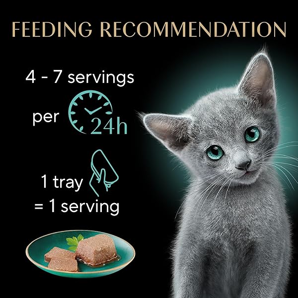 SHEBA PERFECT PORTIONS KITTEN WET CAT FOOD PATE CHICKEN ENTREE AND SALMON ENTREE, 2.6 OZ. TWIN-PACK TRAYS (12 COUNT, 24 SERVINGS)