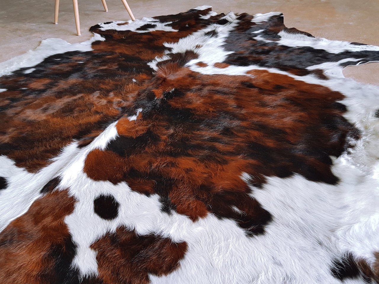 Amazoncom Ecowhides Tricolor Brazilian Cowhide Area Rug Cowskin