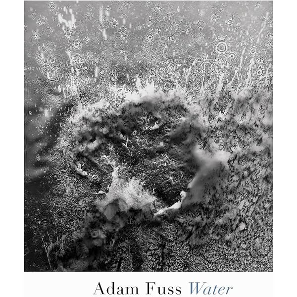 Amazon.com: Sven Jacobsen: Like Birds: 9783775750325: Jacobsen