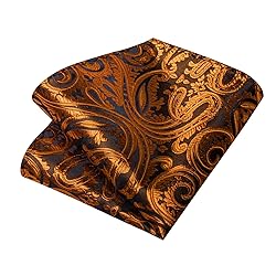 DiBanGu Silk Paisley Ties for Men Woven Necktie and