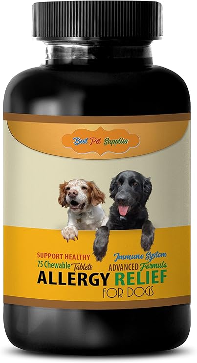 best collar for dog with allergies