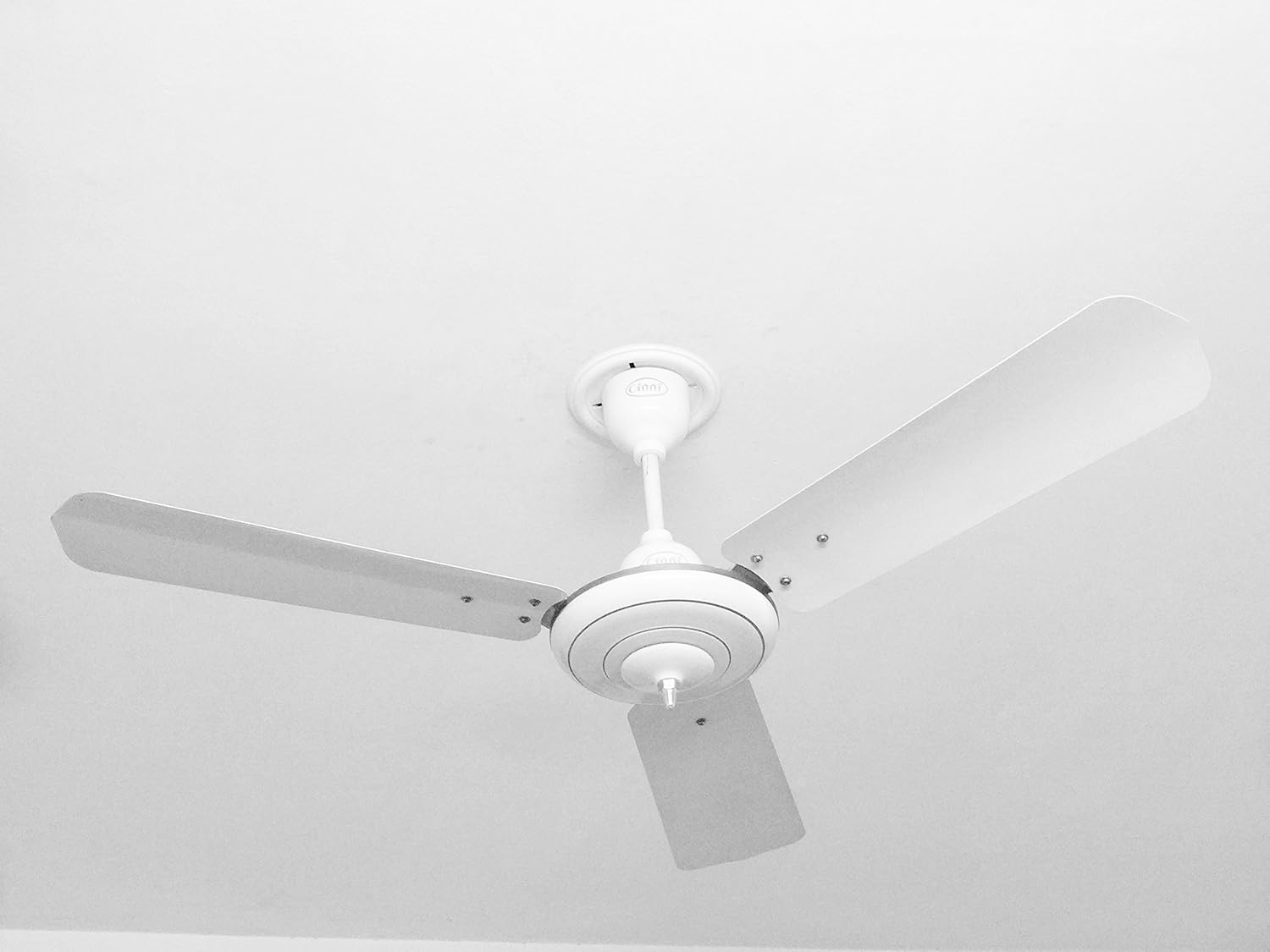 Buy Cinni 1200mm 48 Regular Ceiling Fan White Online At Low