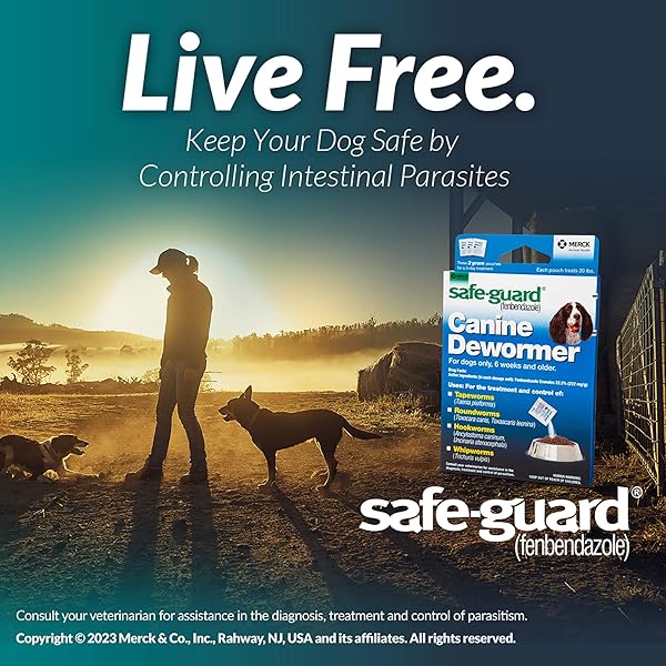 PRO-SENSE SAFE-GUARD 4, CANINE DEWORMER FOR DOGS, 3-DAY TREATMENT
