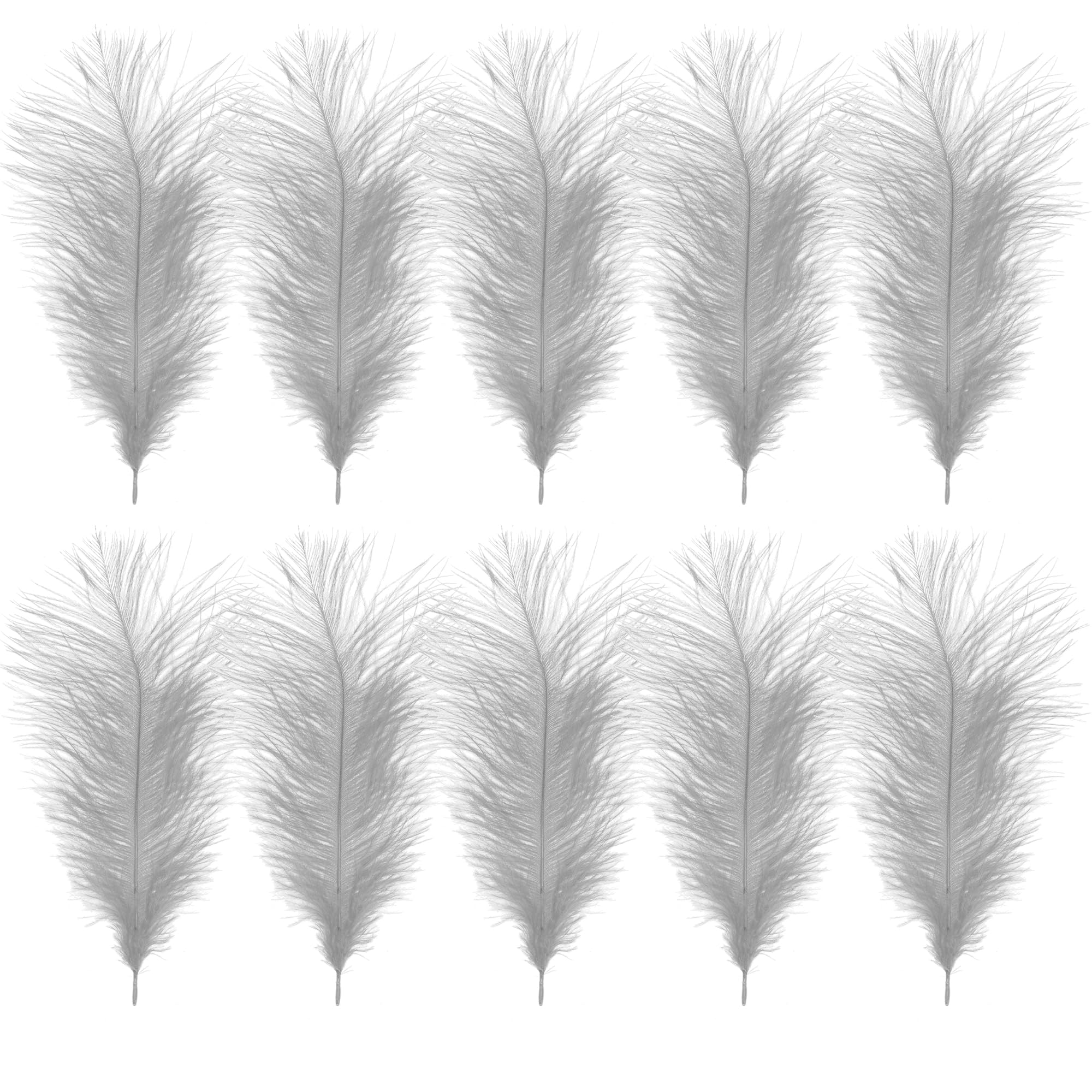 WedDecor Silver Natural Ostrich Feathers 14-16" (35-40cm) Long for Wedding Centerpieces, Home, Decorating Costumes, Embellishment, Art & Craft, Parties (Pack of 10)