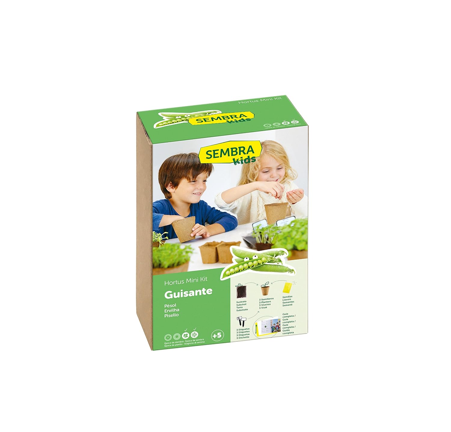 SEMBRA - juego educativo, Kit huerto Guisante: Amazon.es: Jardín