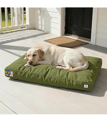 Amazon.com : Carhartt Durable Canvas Pet Bed, Water Resistant Firm