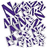Desert Cactus Northwestern University Sticker Northwestern Wildcats Vinyl Decal Laptop Water Bottle Car Scrapbook Sheet (Type 1-1)
