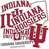 Desert Cactus Indiana University Hoosiers Bloomington Sticker Vinyl Decals Laptop Water Bottle Car Sheet T2 (Type 2-2)