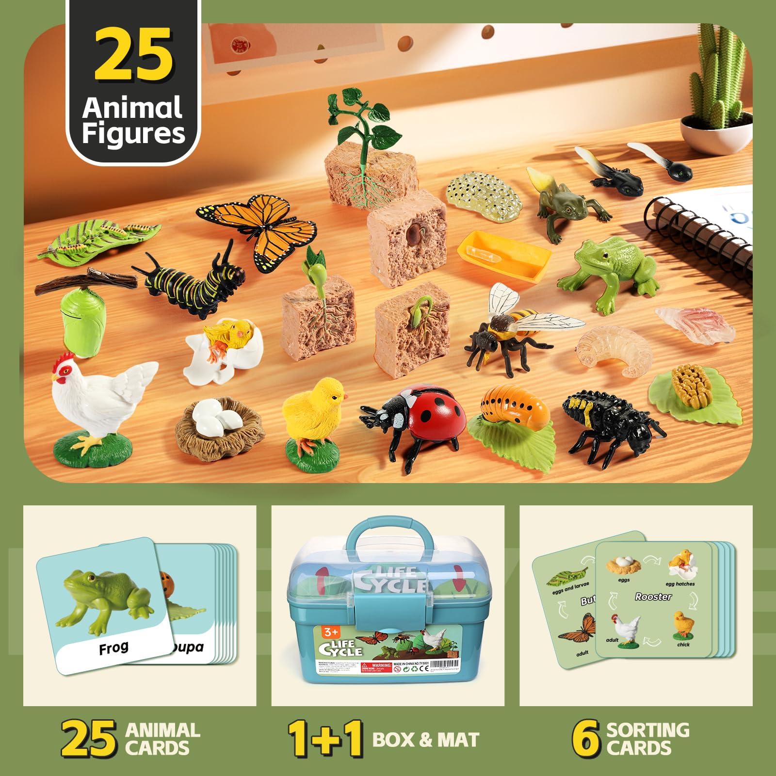 Life Cycle Kit Toy Montessori, Realistic Figurines Set for Kids with 25 Pieces Animals & Plants, Learning & Education Activity Games for Children 3 + |Preschool Classroom Must Haves