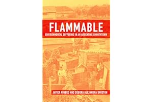 Flammable: Environmental Suffering in an Argentine Shantytown