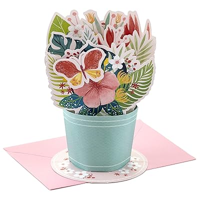 Hallmark Paper Wonder Birthday or Congratulations Pop Up Card (Displayable Bouquet)