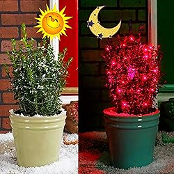 kemooie 2 Packs Solar Fairy Lights, 100 LED 33FT 8