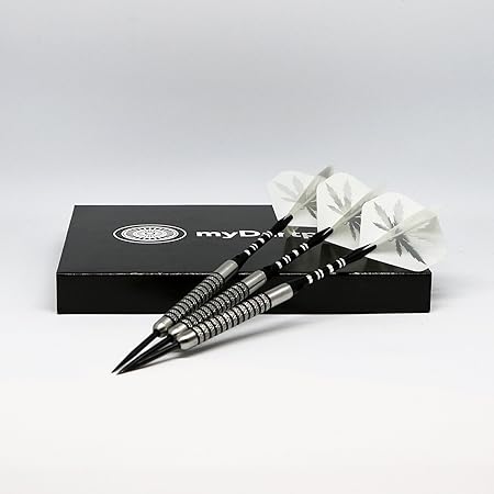 23g/25g/27g Profi Steel-Darts Set „Silver Haze“ von My-Dartpfeil: 80% Tungsten Dartpfeile mit Metallspitze und Zubehör/Dart B