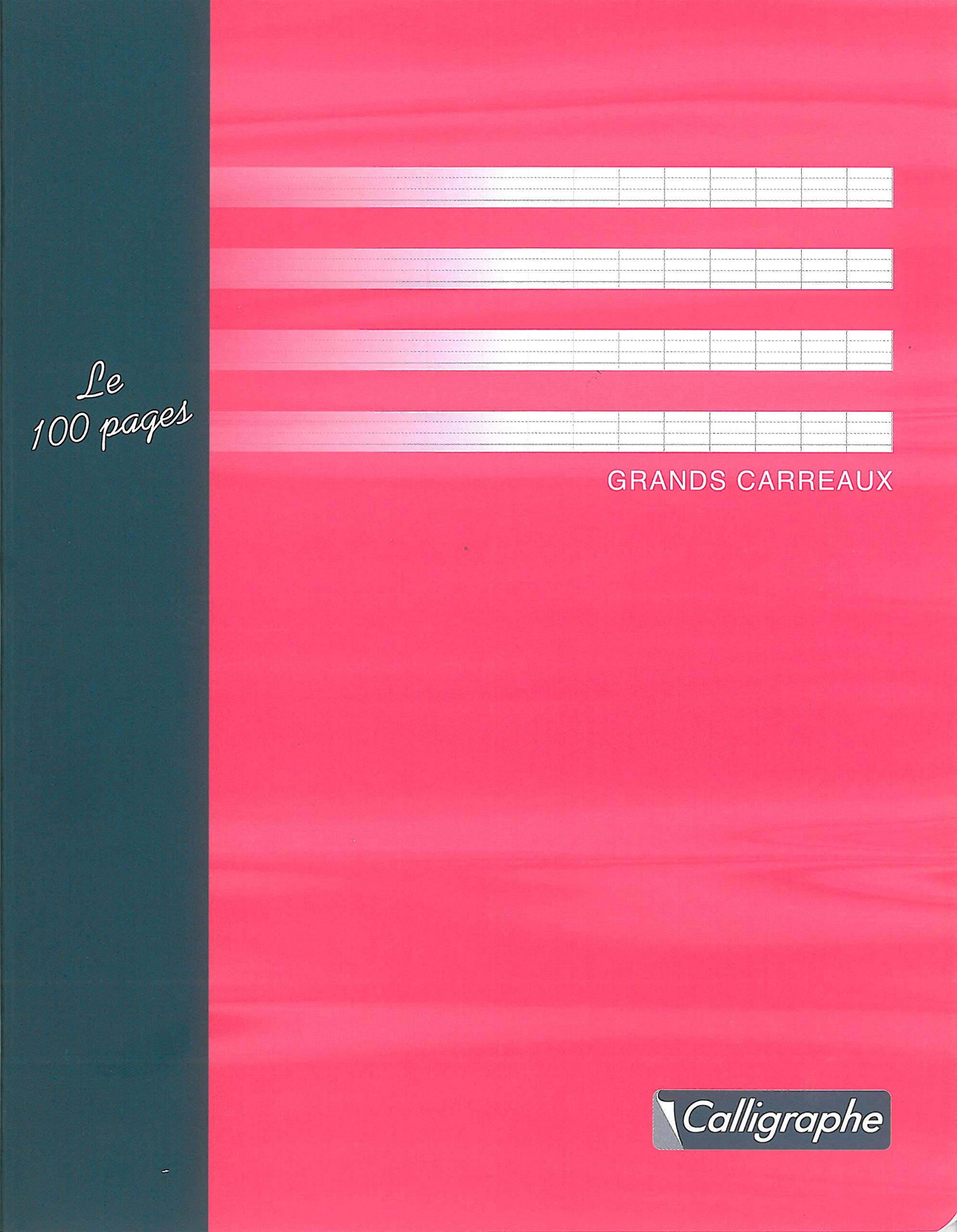 Calligrapher 5422C Set of 10 Stapled Essay Notebooks (a Clairefontaine Brand) - 17x22 cm - 96 Seyes Ruled Pages - 56 g Paper - Offset Card Cover - Random Colours