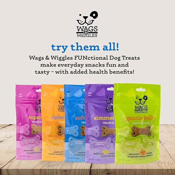 WAGS & WIGGLES SOFT & SHINY TREATS FOR DOGS, CHICKEN FLAVOR – SKIN & COAT SUPPORT FUNCTIONAL TREATS FOR DOGS WITH SALMON FOR SKIN HEALTH, RESEALABLE BAG, 5.5 OUNCE